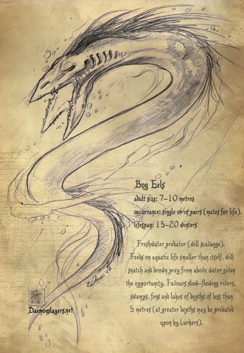 Animal - Bog Eel