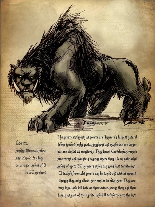Animal - Gorrta