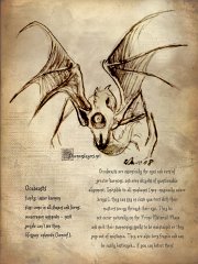 Lesser Daemon - Ocubeasts   Ocubeasts  Ocubeasts are small, fragile lesser demons usually invisible to the mundane (i.e. anyone of a non-magical nature will not see them). This makes them perfect as spies. Most magic users of a questionable alignment make use of them but also greater daemons emply them as their eyes and ears in the mortal plane, seeing through their eye (ocubeats only have one eye)